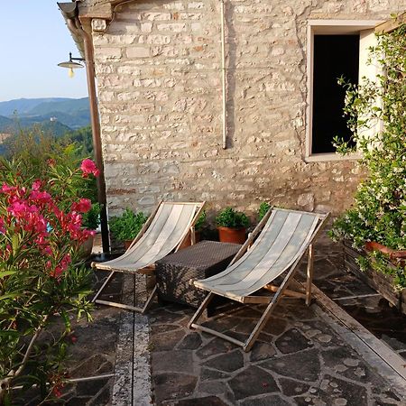 Agriturismo Del Frontino - Lo Studio Acqualagna Exterior foto