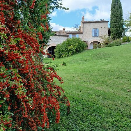 Agriturismo Del Frontino - Lo Studio Acqualagna Exterior foto