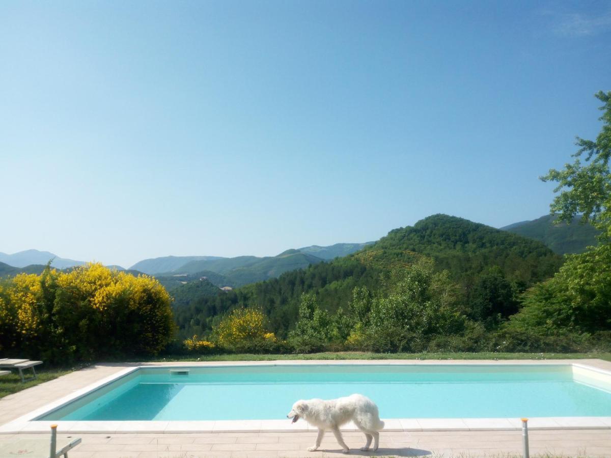 Agriturismo Del Frontino - Lo Studio Acqualagna Exterior foto
