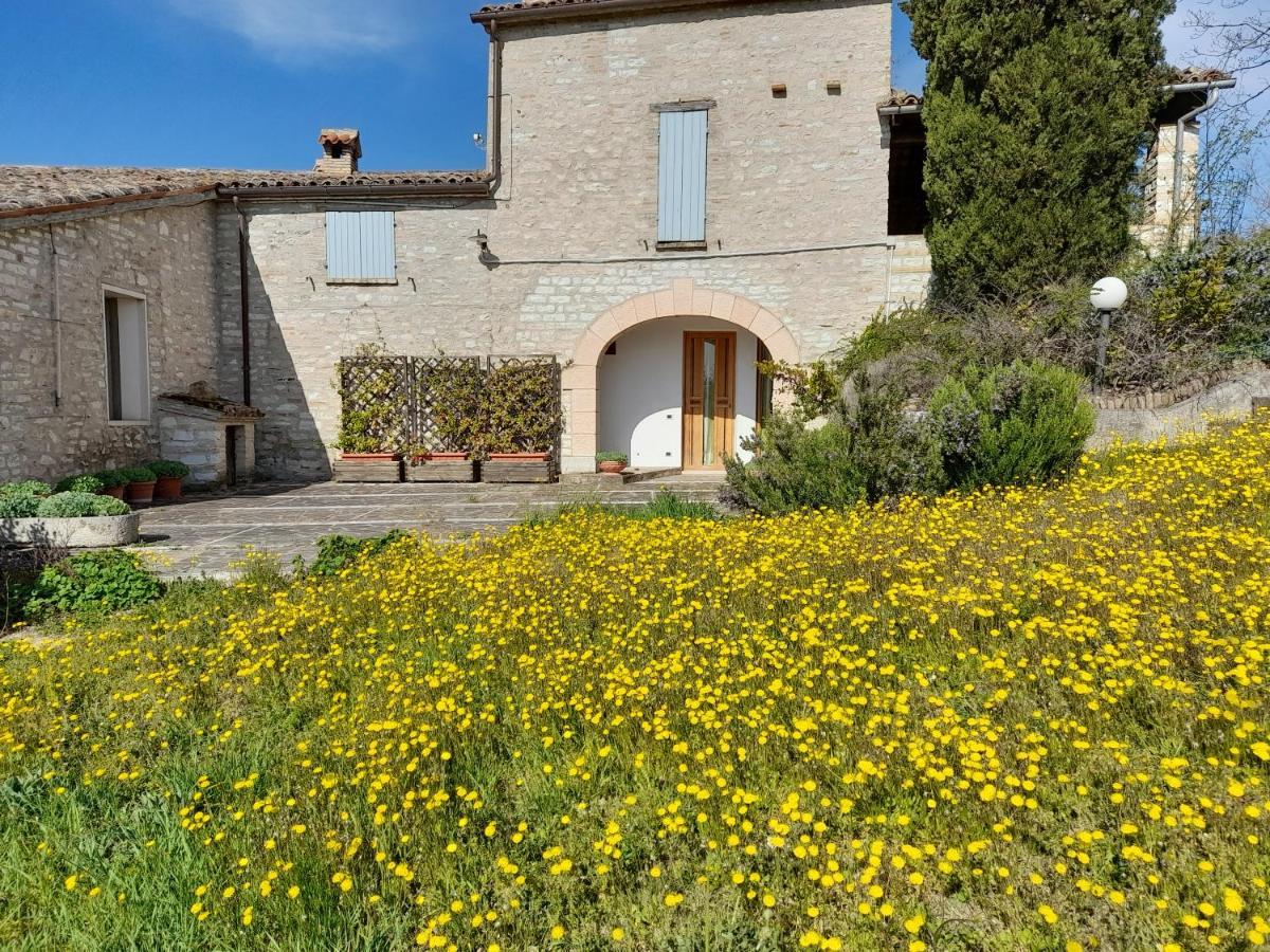 Agriturismo Del Frontino - Lo Studio Acqualagna Exterior foto