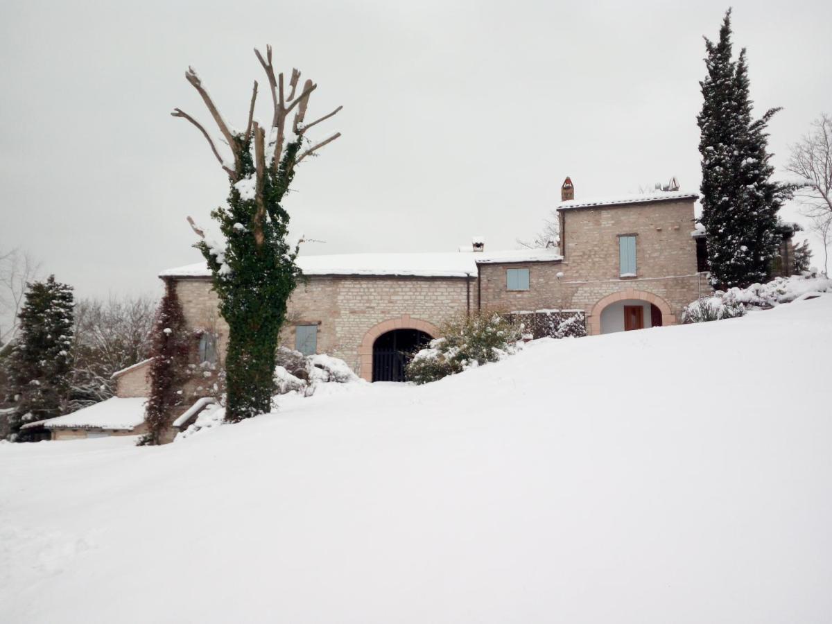 Agriturismo Del Frontino - Lo Studio Acqualagna Exterior foto