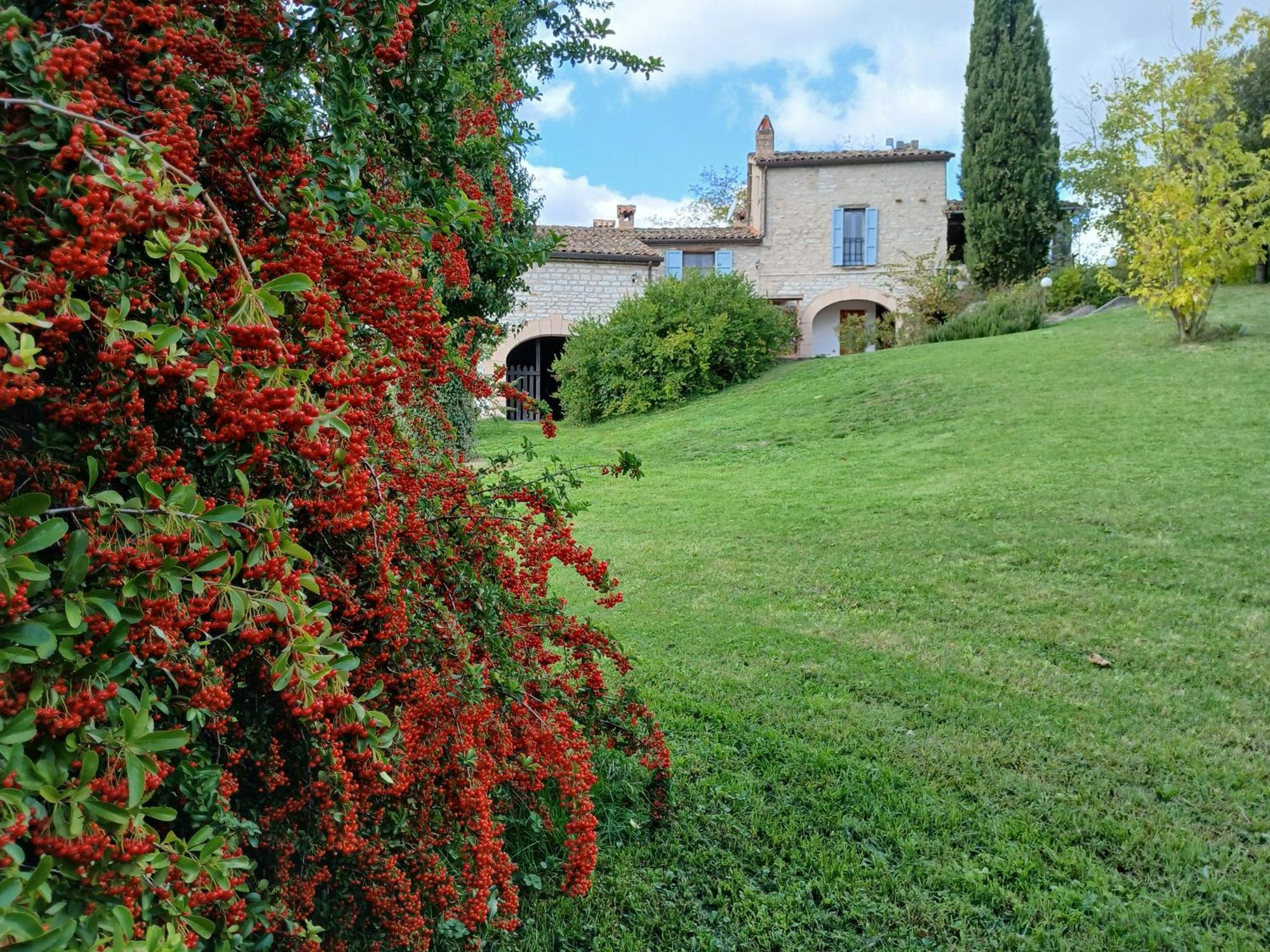 Agriturismo Del Frontino - Lo Studio Acqualagna Exterior foto